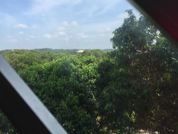 Blk 716 Bedok Reservoir Road (Bedok), HDB Executive #78313212